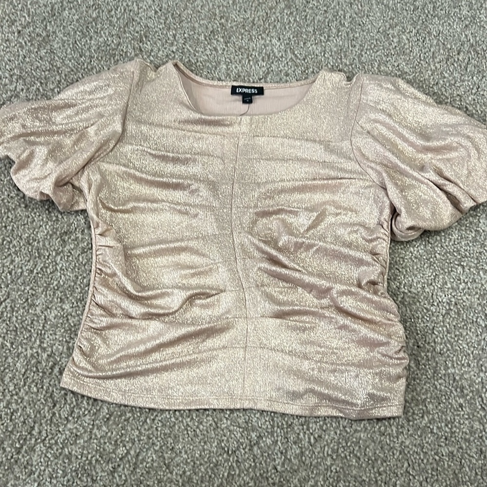 NWT Puff Sleeve Shimmer Blouse